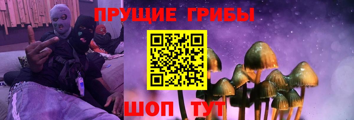 Псилоцибиновые грибы мицелий Шелехов